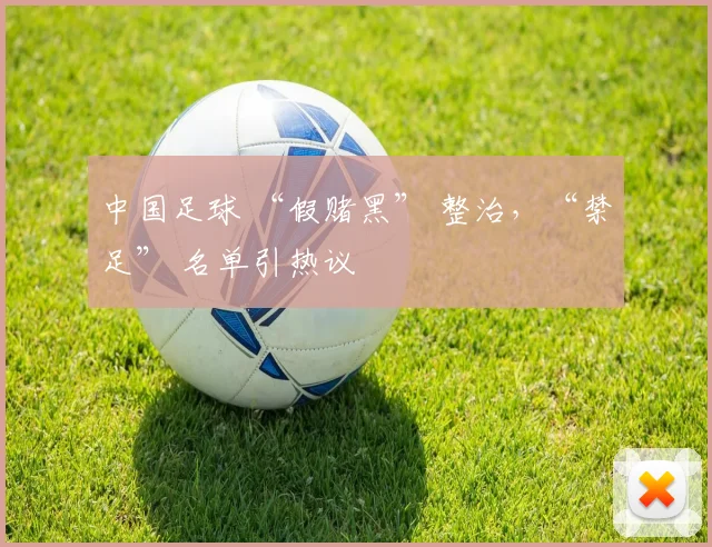 中国足球 “假赌黑” 整治，“禁足” 名单引热议